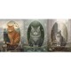TRI INSPIRATIONS GREETING CARD Cat Medley